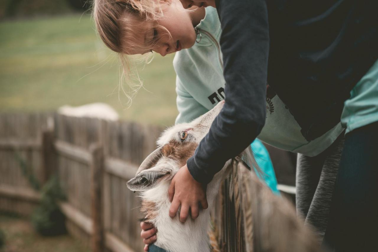 Familienhotel Replerhof Mit Kinderbetreuung Prägraten Buitenkant foto